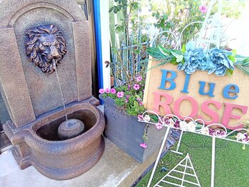 ブルーローズ(Blue rose)/