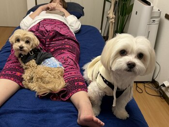 プライムボディアンドゴルフ(Prime Body&Golf)/ニコとマルです