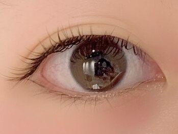 カラン 焼津店(CALIN)/アップワードブラウン100本☆