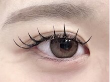 ネオリーブ ウリ(Neolive uri)/フラットラッシュ100本