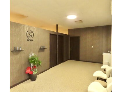 スカルプ(SCALP)の写真