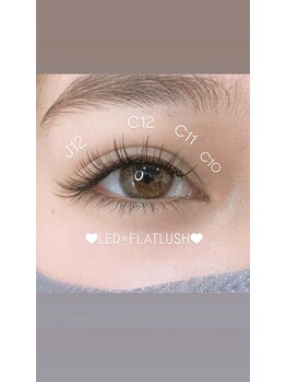 オッターヴァ 学芸大学(8va.)/LED×FLATLUSH120本