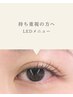 持ち重視の方へ｜LEDマツエクメニュー↓↓↓↓↓↓↓↓↓↓↓↓↓↓↓↓↓↓