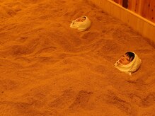 酵素風呂 笑風/酵素風呂　笑風