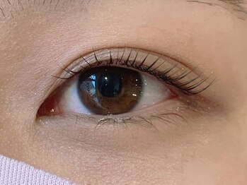 ルフリーク(Le Freak)/パリジェンヌラッシュリフト