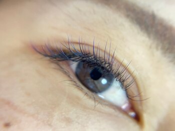 プルームミコ(Plume mico)/全体カラーMIX　青×紫