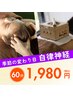 【自律神経の乱れからくる不眠・頭痛】はり・お灸＋整体マッサージ　1,980円