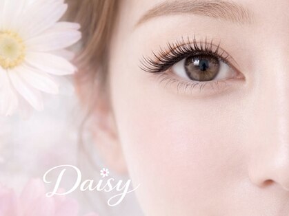 デイジー(Daisy)の写真