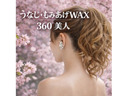 フリースタイルセカンド(Freestyle 2nd)の写真