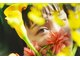 モイ(Moi)の写真