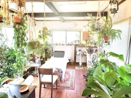 整体療院 おひさま。の写真