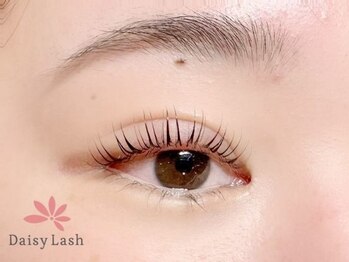 デイジーラッシュ 神戸三宮店(Daisy Lash)/まつげパーマ/パリジェンヌ/神戸