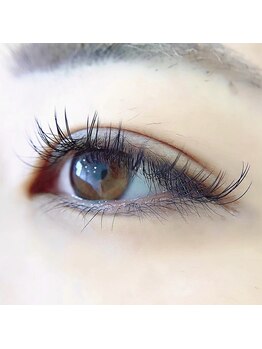 ロイス(ROIS)/◇フラットマットラッシュ120本