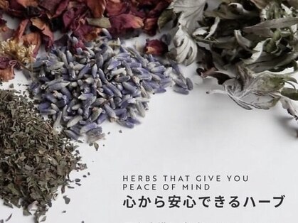 セレネローゼ(Selene Rose)の写真