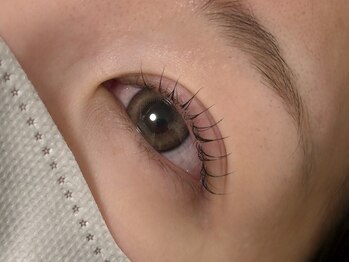 コルテアイ(CoRte.eye)/まつ毛パーマ/ラッシュリフト