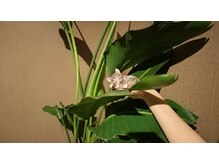 ゴロート(Goro to)の雰囲気(植物の優しさに包まれて。猫のように無防備にゴローと。)