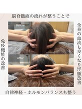 サロン リヒカ(Salon Rihica)/脳を整えれば全身が整う！