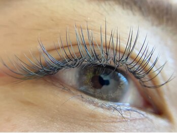 プルームミコ(Plume mico)/全体カラーMIX　青×緑