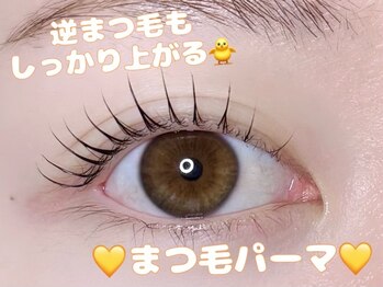 アトリエナナ 西尾店(atelier7.)の写真/あなたの「なりたい」を叶える♪丁寧なカウンセリング＆似合わせが得意なサロンで理想の目元へ導きます☆