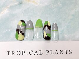 選べる定額デザイン