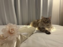 サロン ド イルベージュ(Salon de Ilbeige)の雰囲気（おとなしく人懐こいので、猫OKな方のみの施術になります。）