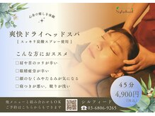 シルフィード 小岩(sylpheed)