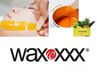 NEW☆美肌の土台作り艶肌スキンケアWAX[オーダーメイド鎮静パック付き]120分