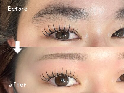 クロエ(Chloe)の写真