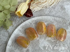 【Endo限定】 design