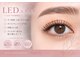 プリモアイラッシュ(Primo Eyelash)の写真