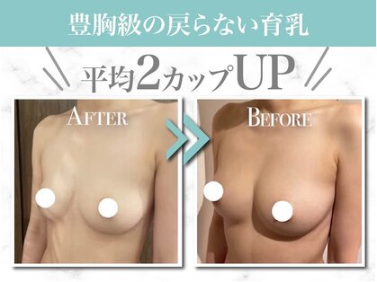 美人バスト 赤羽店の写真
