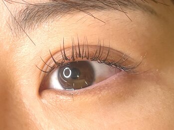 ラシク ベル(Lashiku Belle)/フラットラッシュダークブラウン