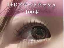 ルーム(Room.)/LEDフラットラッシュ100本