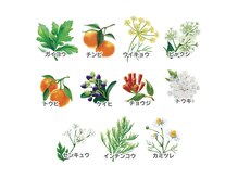 ヨサパーク アリーボンド(YOSA PARK AllyBond)の雰囲気(11種類のハーブで中から促進☆芯から温めて代謝アップ!)