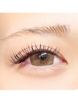 フーフロー(Fooflow)/パ-フェクトラッシュ100束