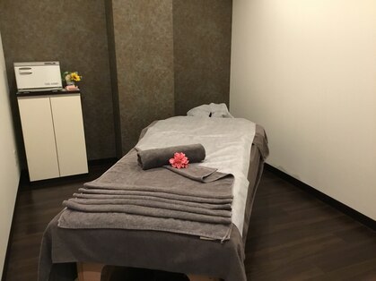 シェリーク(Shereek)の写真