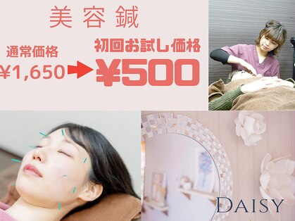 デイジー(DAISY)の写真