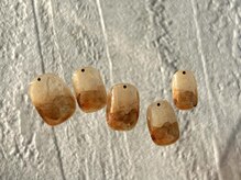 アオ おもろまち(ao.)/オータムニュアンス