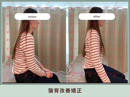 サンゴ(Sango)の写真