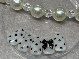 毎月新作5種デザイン