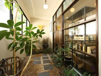 コハク/緑に囲まれたエントランス☆