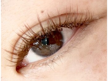 カフー(kafuu)/singlelash～シングルカラー～