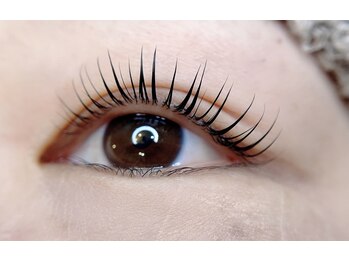 ヒッポ(Hippo)/ラッシュリフト（まつ毛パーマ）