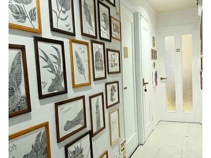 リンク(Linc)の写真