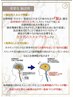 【ヘッドスカルプケア】睡眠の質改善、自律神経を整える30分¥3,300