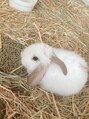マギバイバディ 宇都宮店(magi by BUDDY) 動物が好きです♪うさぎ、猫が特に好きです(^O^)