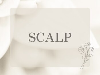 シーファイブメットビューティ 西11丁目店(C5medビューティ)/頭皮ケア