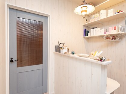 ダウクス(Daucus)の写真