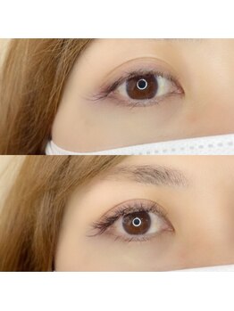 ルピナス(Lupinus)/LEDボリュームラッシュ200本