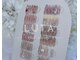 ルタネイル(Luta nail)の写真/【当店1番人気!!】季節毎に変わるトレンドのデザインを沢山ご用意♪キラキラ/ワンホン/韓国デザイン